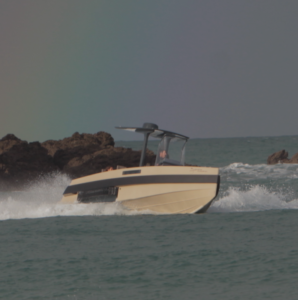 Iguana sur la mer en pleine navigation