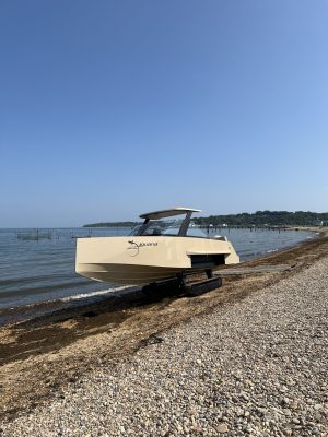 Iguana Commuter at the Navy Beach Restaurant, Montauk